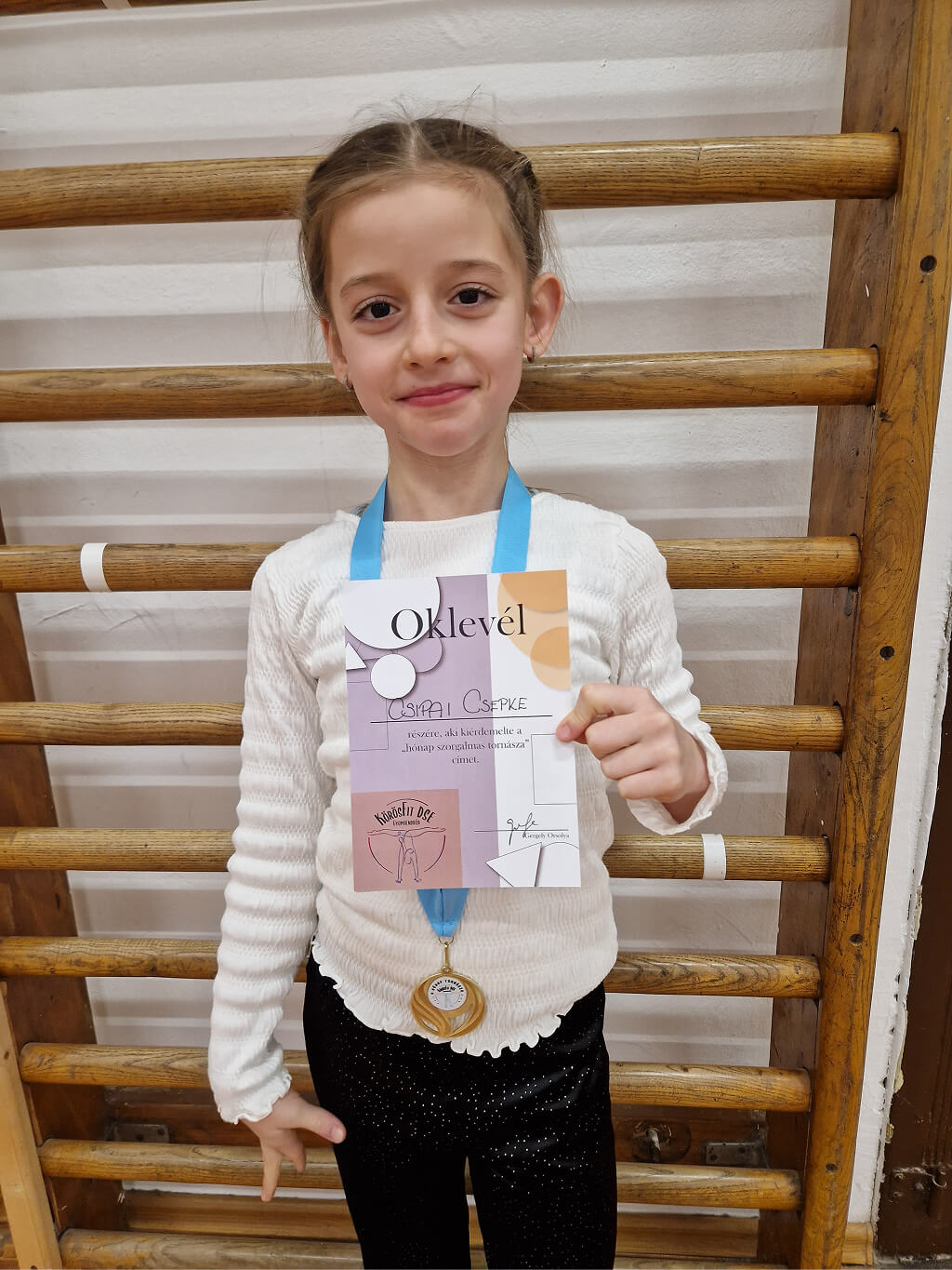 26januar-csipai-csepke